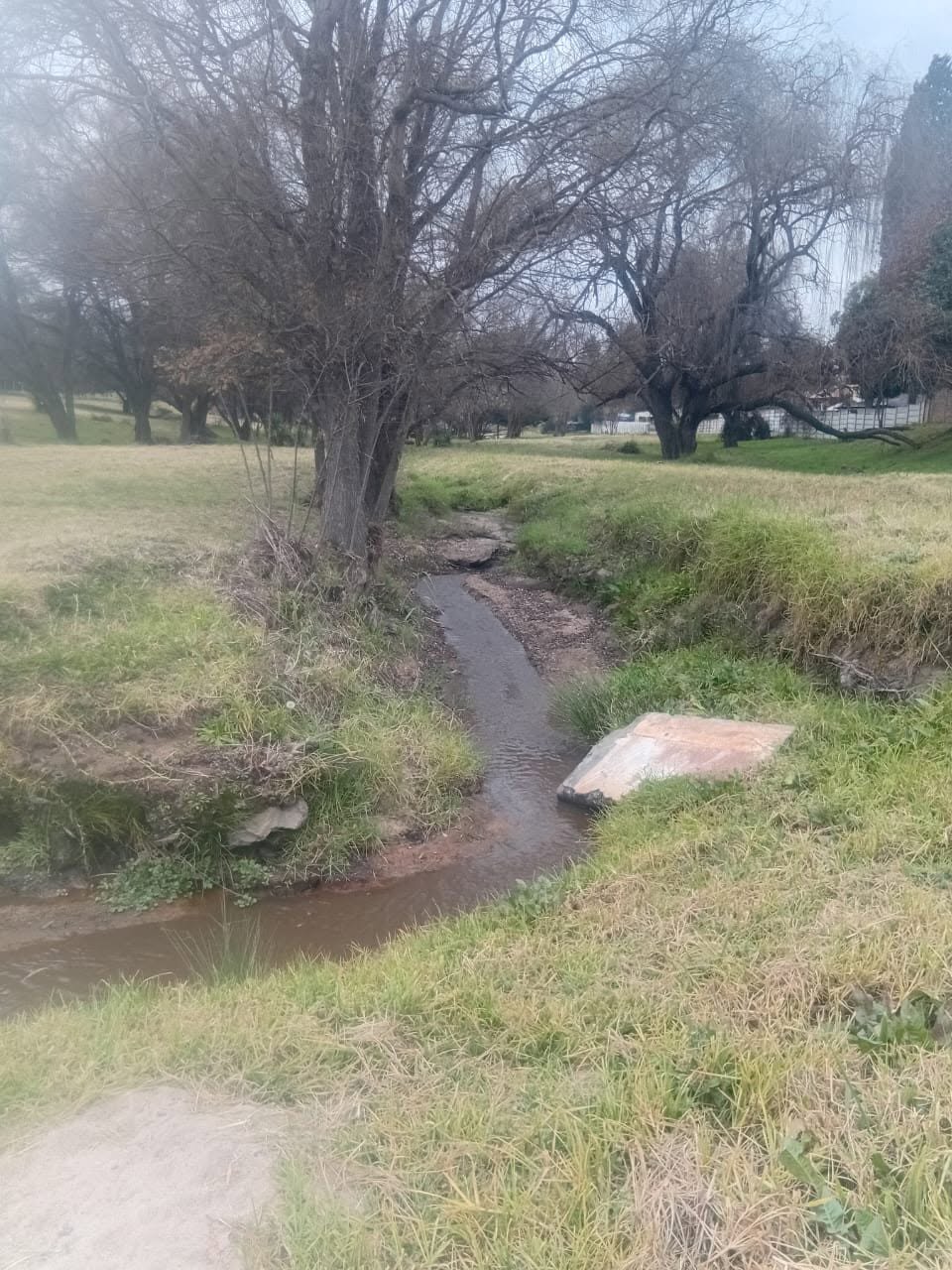 Keeping Water Flowing: RRVA’s Greenbelt Maintenance Update